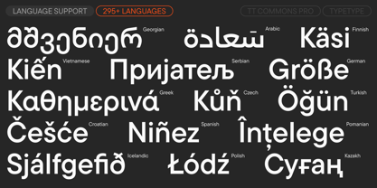 TT Commons™ Pro Font Poster 7