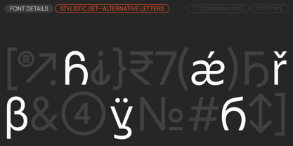 TT Commons™ Pro Font Poster 15