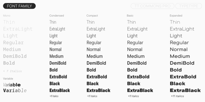TT Commons™ Pro Font Poster 4