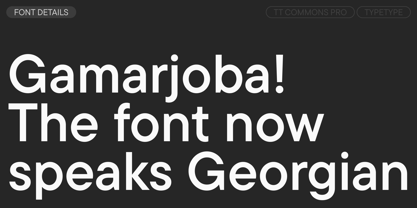 TT Commons™ Pro Font Poster 3