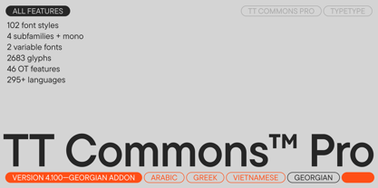 TT Commons™ Pro Font Poster 1
