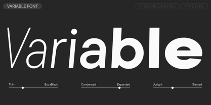 TT Commons™ Pro Font Poster 5