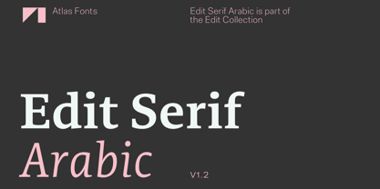 Edit Serif Arabic Font Poster 1