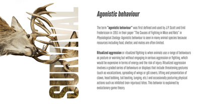Skyrise Font Poster 4
