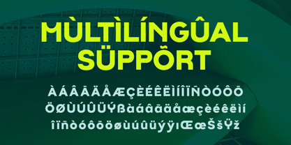 Wolgen Font Poster 12