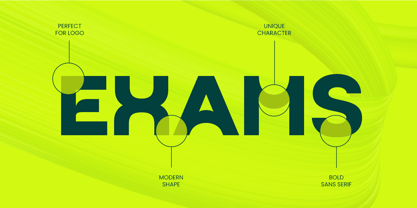Wolgen Font Poster 9