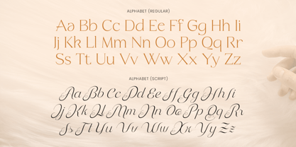 Homes Royale Font Poster 12