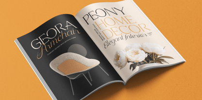 Homes Royale Font Poster 4