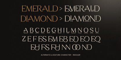Homes Royale Font Poster 9