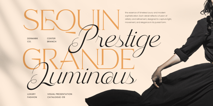 Homes Royale Font Poster 3