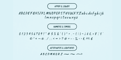 Shafikon Serif Font Poster 9