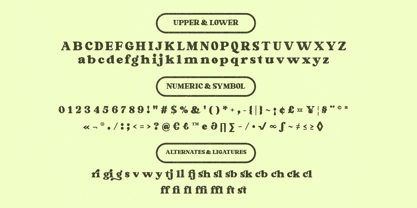 Shafikon Serif Font Poster 10