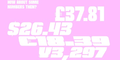 Sheio Font Poster 14