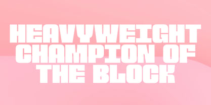 Sheio Font Poster 2