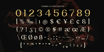 Author Font Poster 9