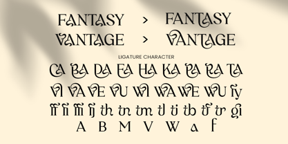 Author Font Poster 11
