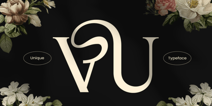 Author Font Poster 4