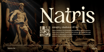 Author Font Poster 7