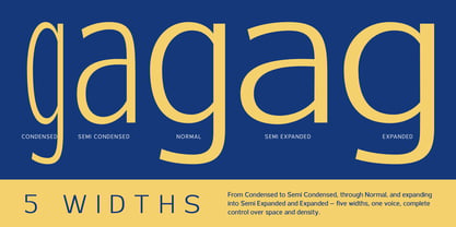 Ardelin Font Poster 4