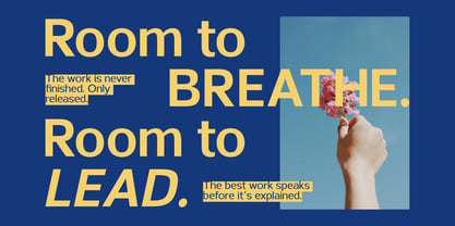 Ardelin Font Poster 5