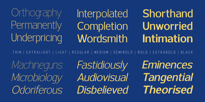 Ardelin Font Poster 9