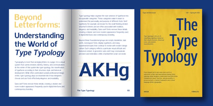 Ardelin Font Poster 11