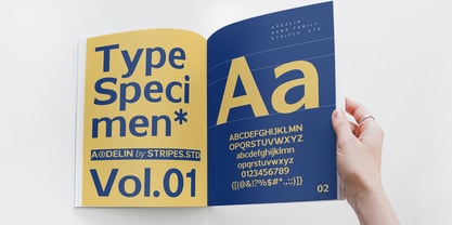 Ardelin Font Poster 10