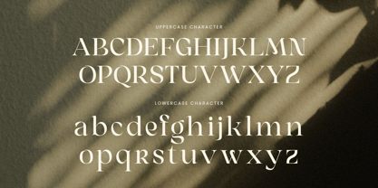 Mobina Font Poster 10