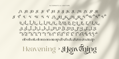 Mobina Font Poster 11