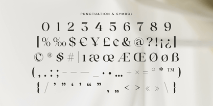 Mobina Font Poster 9