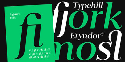 Eryndor Font Poster 9