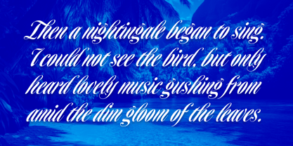 Homage Script Font Poster 5