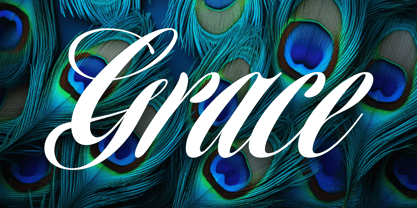 Homage Script Font Poster 1
