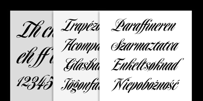 Homage Script Font Poster 4