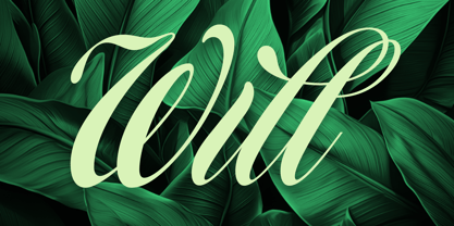 Homage Script Font Poster 3