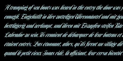 Homage Script Font Poster 6