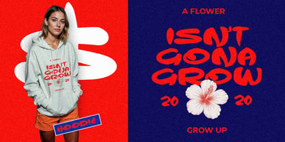 Ramen Curry Font Poster 9