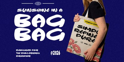 Ramen Curry Font Poster 3