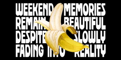 Slovia Font Poster 5