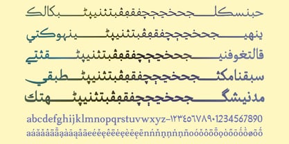 Basseet Font Poster 6