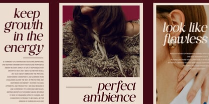 The Sanchez Monthly Font Poster 8
