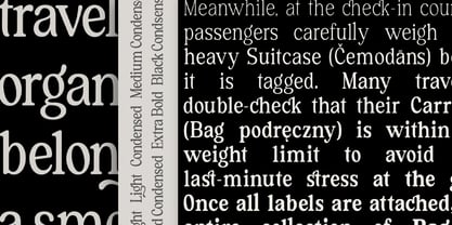 Forginty Font Poster 9