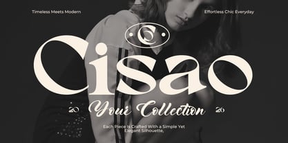 Berico Font Poster 2