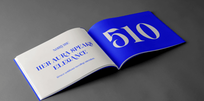 Frontend Font Poster 8