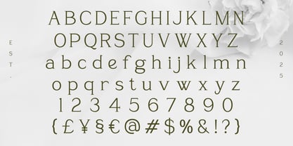 Sevoilla Font Poster 2