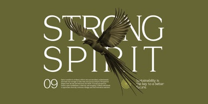 Sevoilla Font Poster 5