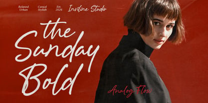 Analog Flow Font Poster 4