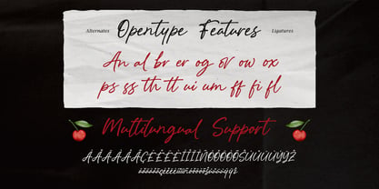 Analog Flow Font Poster 9