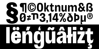 Otflag Sans Font Poster 6