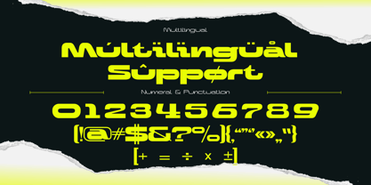 Nova Moir Font Poster 11